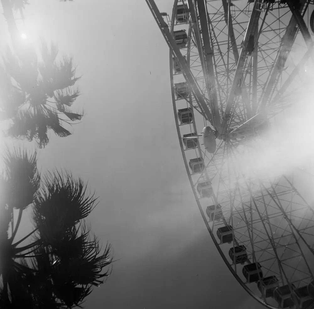 A Ferris wheel through palms, black and white