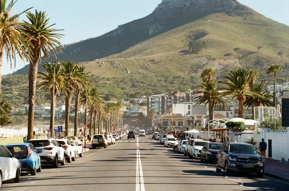 Palm-lined road in Camps Bay towards Lion's Head, on film